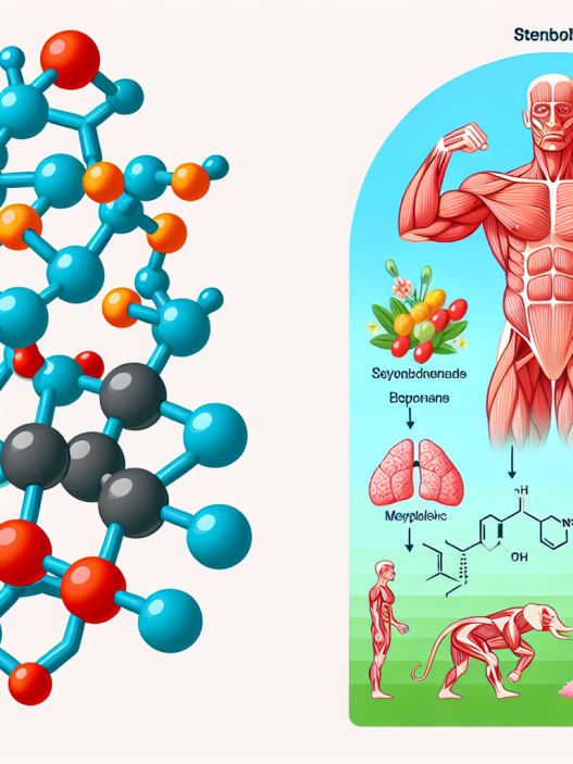 Stenbolone e la sua azione sul metabolismo durante l'attività fisica