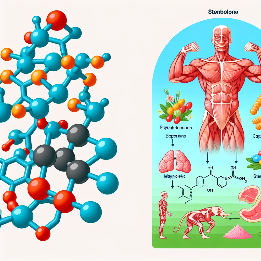 Stenbolone e la sua azione sul metabolismo durante l'attività fisica